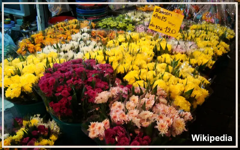 ปากคลองตลาด เป็นตลาดขายส่งดอกไม้ ผัก และผลไม้ขนาดใหญ่ ใกล้โรงแรมติดแม่น้ำเจ้าพระยา